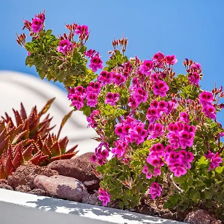 Villa Erossea Imerovigli (Santorini)
