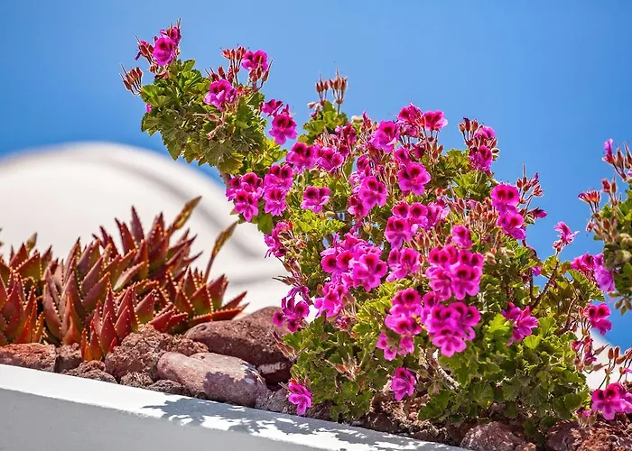 Villa Erossea Imerovigli (Santorini)