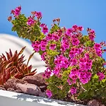 Вилла Erossea Имеровигли
